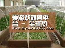 环境展示五