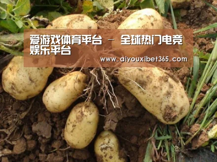 种植基地六