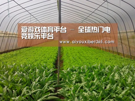 种植基地四