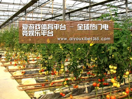 种植基地二(图1)