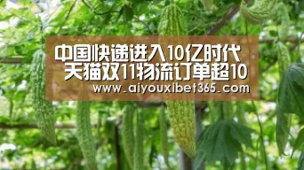 中国快递进入10亿时代 天猫双11物流订单超10亿|爱游戏官网(图1) 爱游戏体育