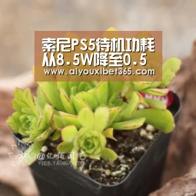 爱游戏官方