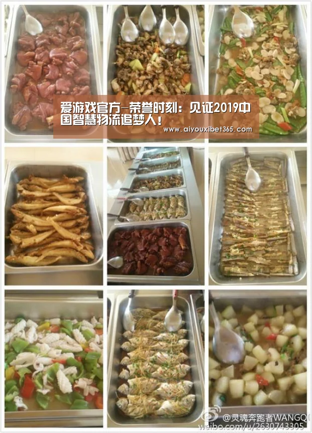 爱游戏官方-荣誉时刻:见证2019中国智慧物流追梦人!(图2) 爱游戏赛事