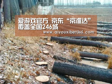 爱游戏官方