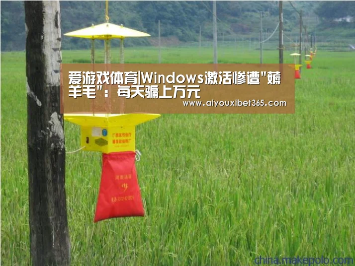 爱游戏赛事